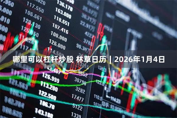 哪里可以杠杆炒股 林草日历∣2026年1月4日